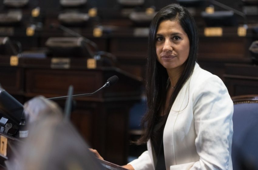 Avanza en la legislatura provincial una modificación al régimen de adopción