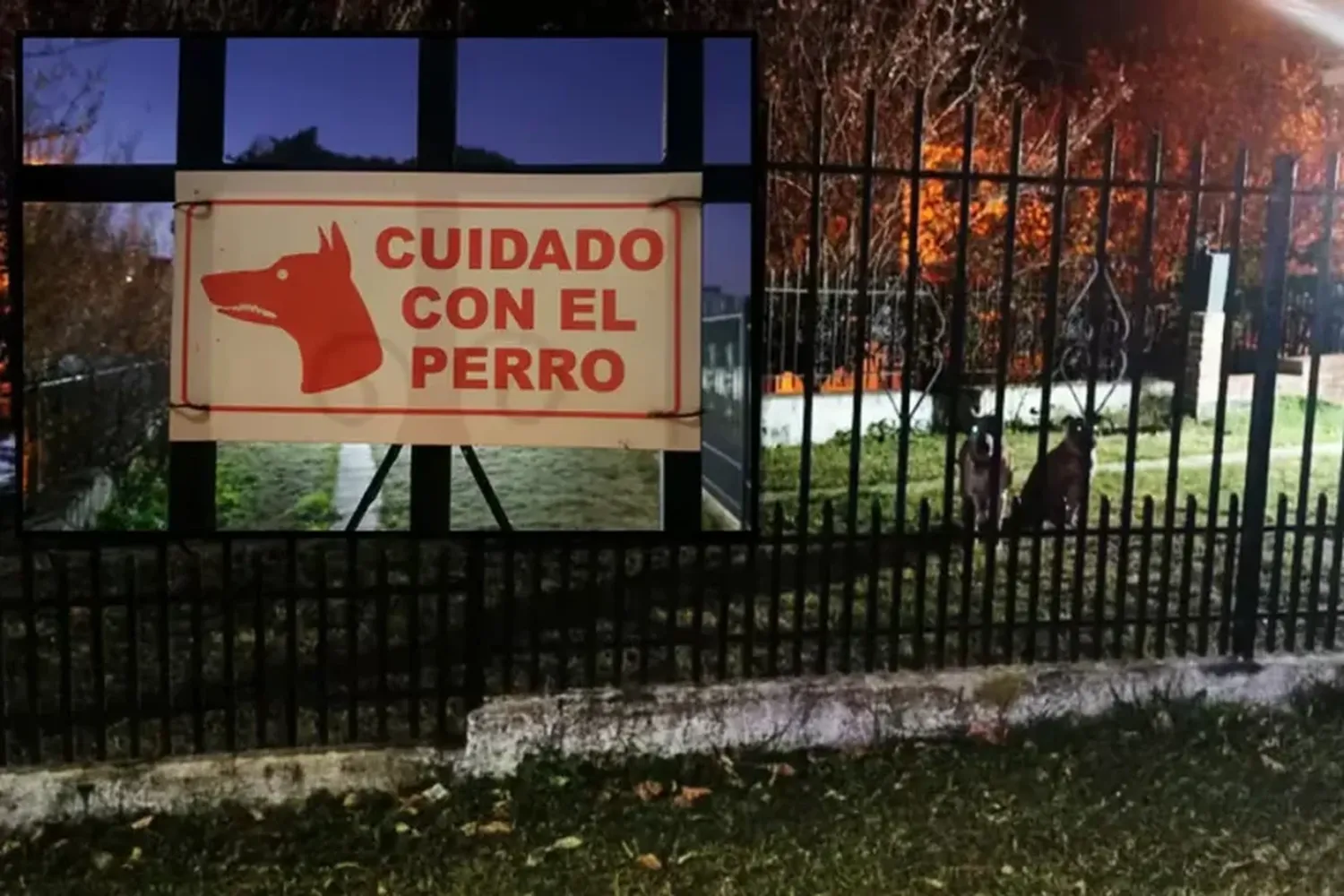 Córdoba: entró a robar, fue atacado por dos pitbull y quedó en grave estado