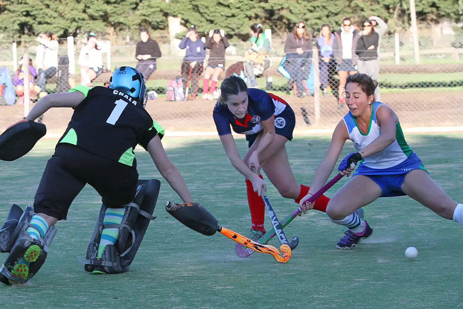 Todos buscan mejorar