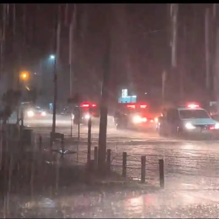 bomberos zapadores vera - 2