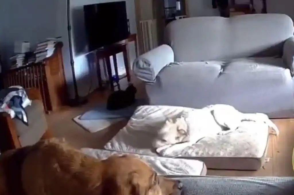 Jugaba con una batería de litio