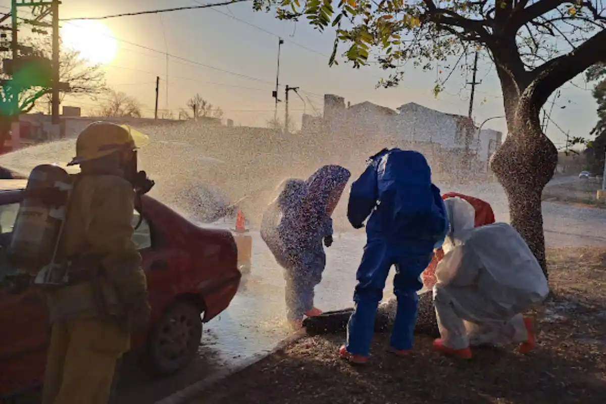 La causa llegó a la Justicia y quedó en manos de la fiscal Hemilce Fissore