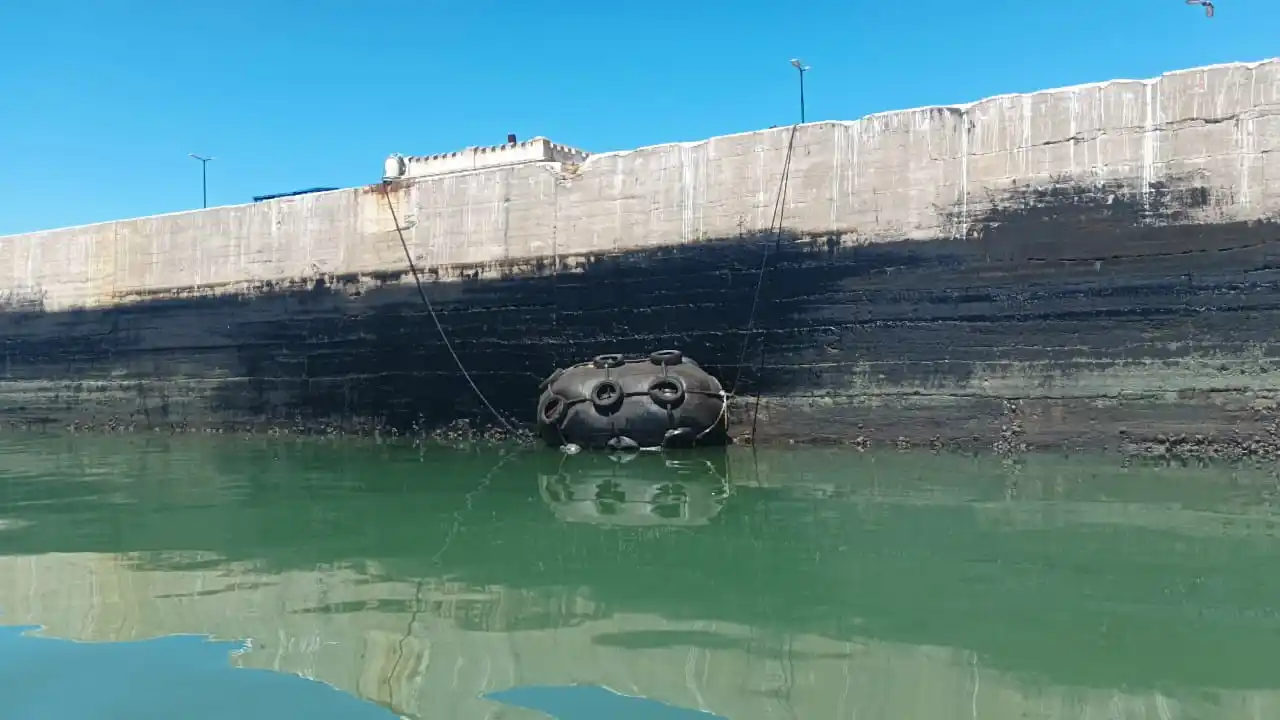 Foto: Estación de Rescate de Fauna Marina Guillermo "Indio" Fidalgo.
