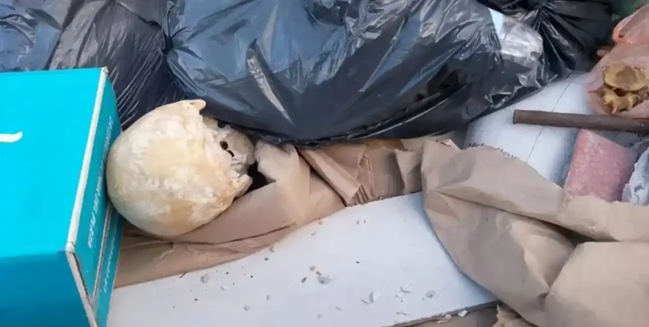 Un macabro hallazgo causó estupor en Playa Grande.