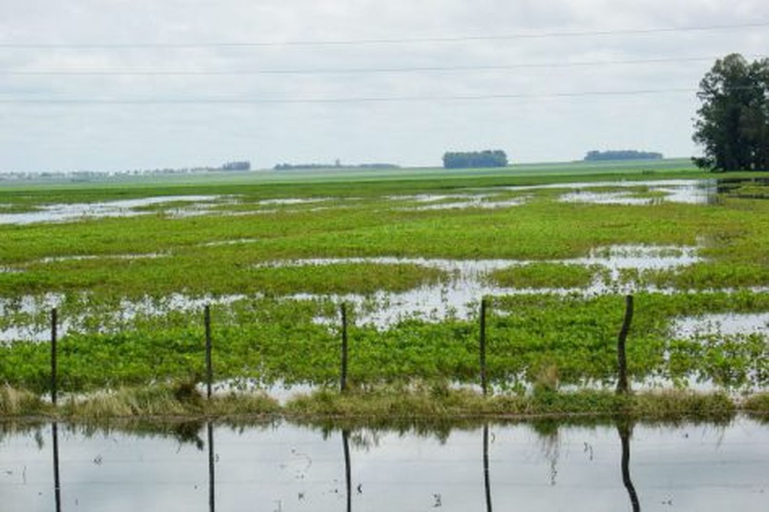 Seis Provincias en Emergencia Agropecuaria