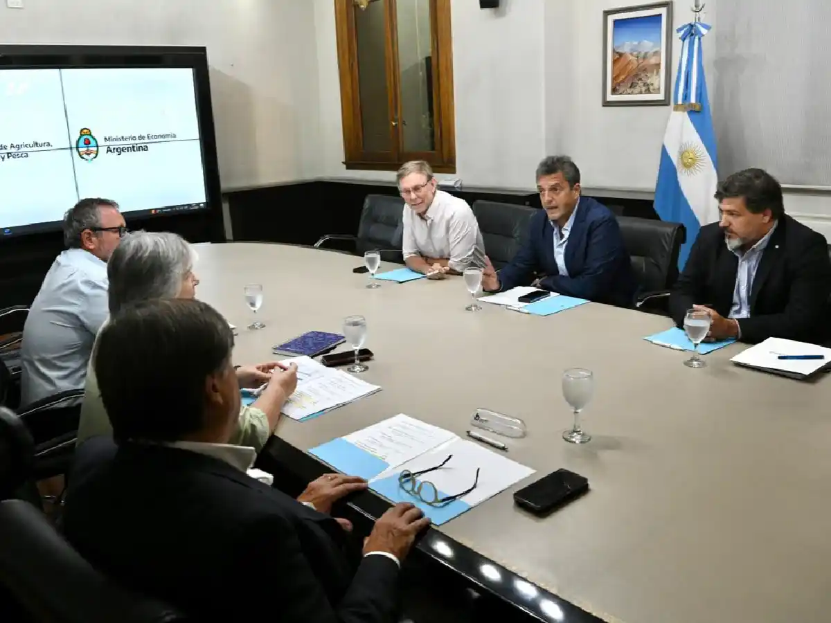 Gripe aviar: el Gobierno invertirá más de 1.000 millones de pesos para reforzar los controles