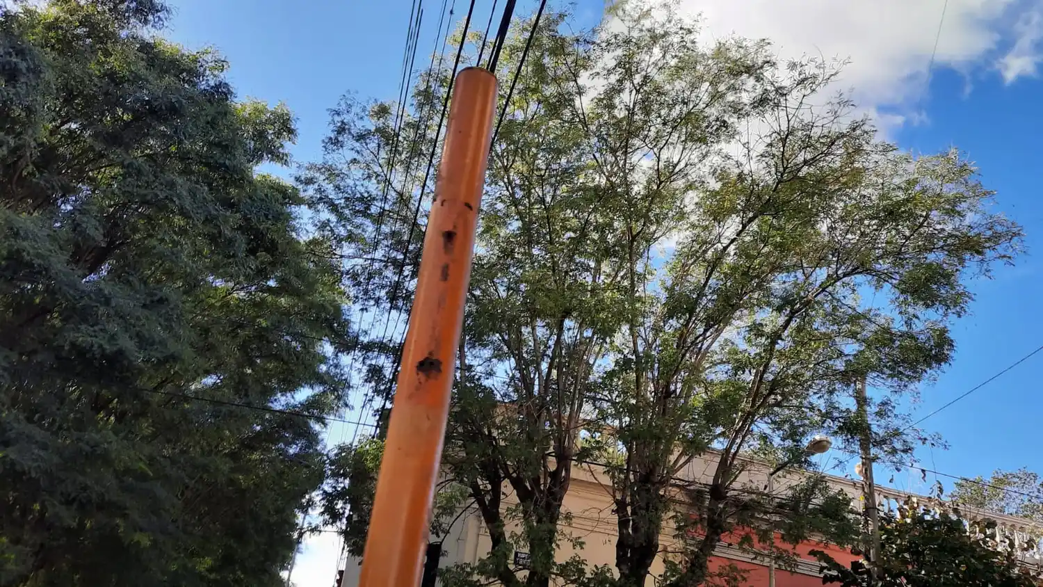 Cartelería caño pelado