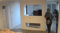 Inseguridad en Cerro Leones: delincuentes encapuchados robaron en una vivienda y quedaron grabados