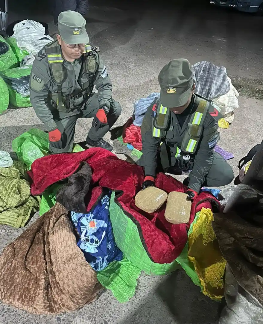 cocaína ocultos entre acolchados y mantas - 2