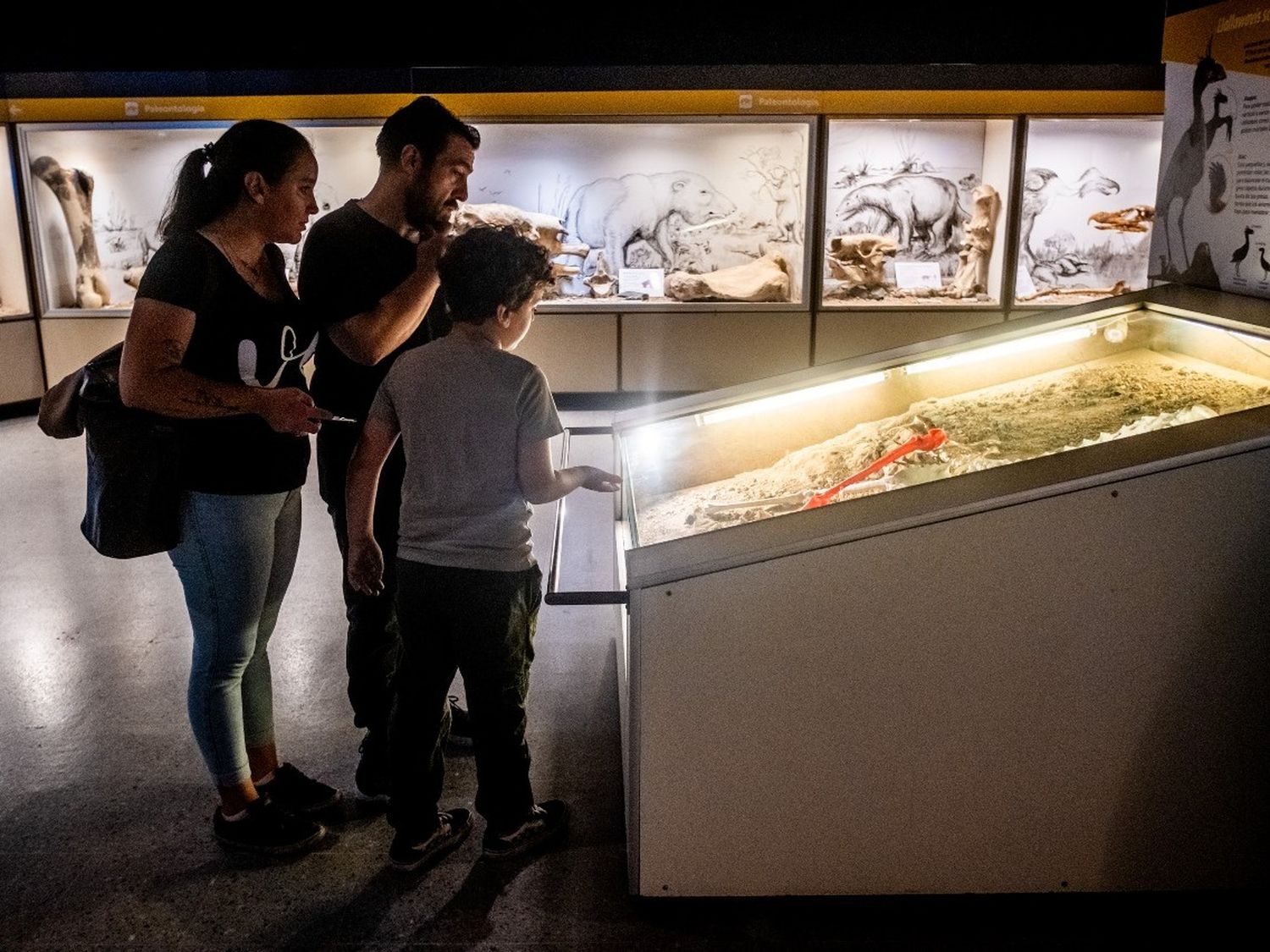 El Museo de Ciencias Naturales renovó su propuesta para febrero