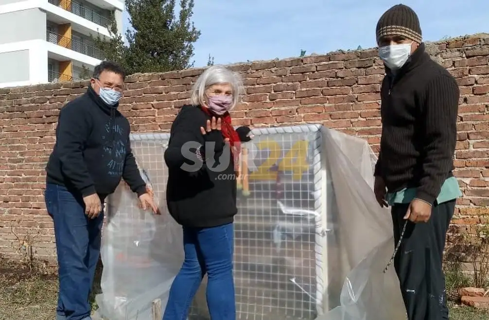 Intercambio de semillas, plantines y saberes en “Manos a la Tierra”