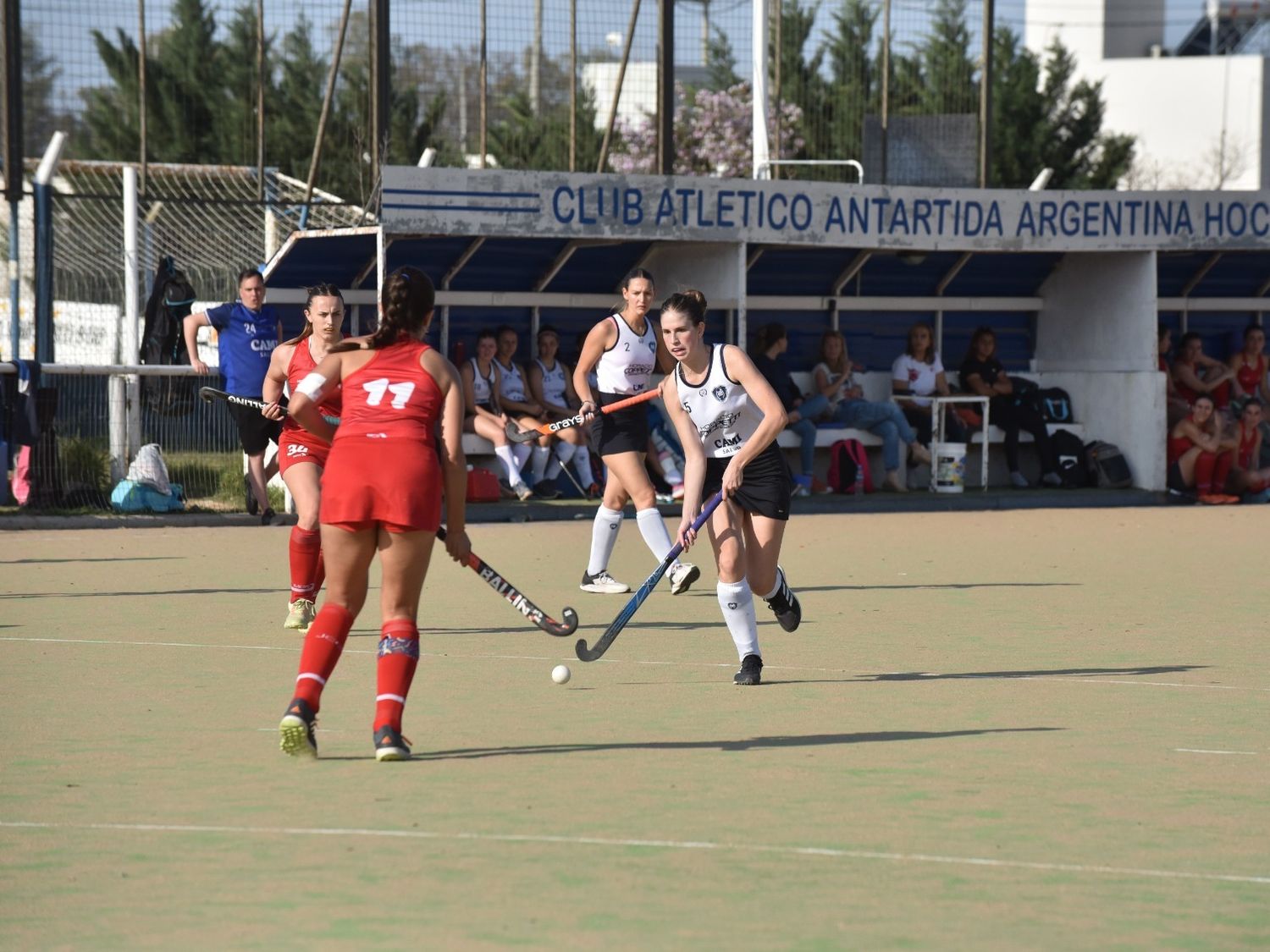 Antártida visita a Palermo Bajo