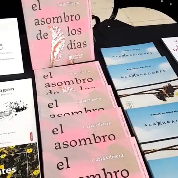 "La poesía se nutre de lo cotidiano". Entrevista a Carla Olivera en la Feria del Libro Mágica.
