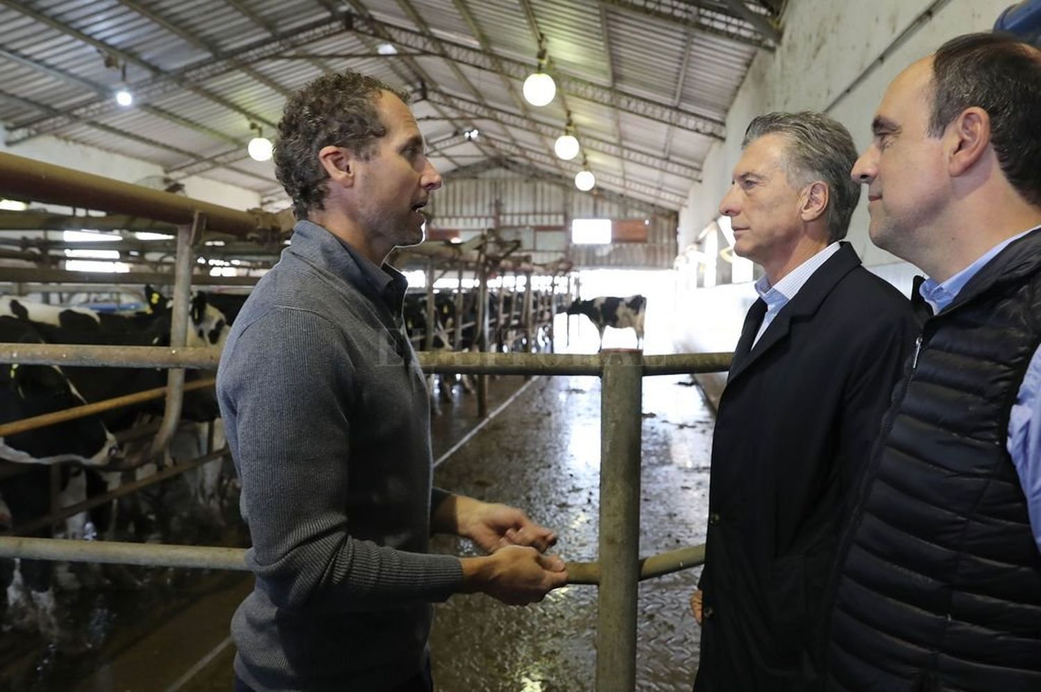 Tamberos pidieron a Macri formalizar el mercado de la leche cruda