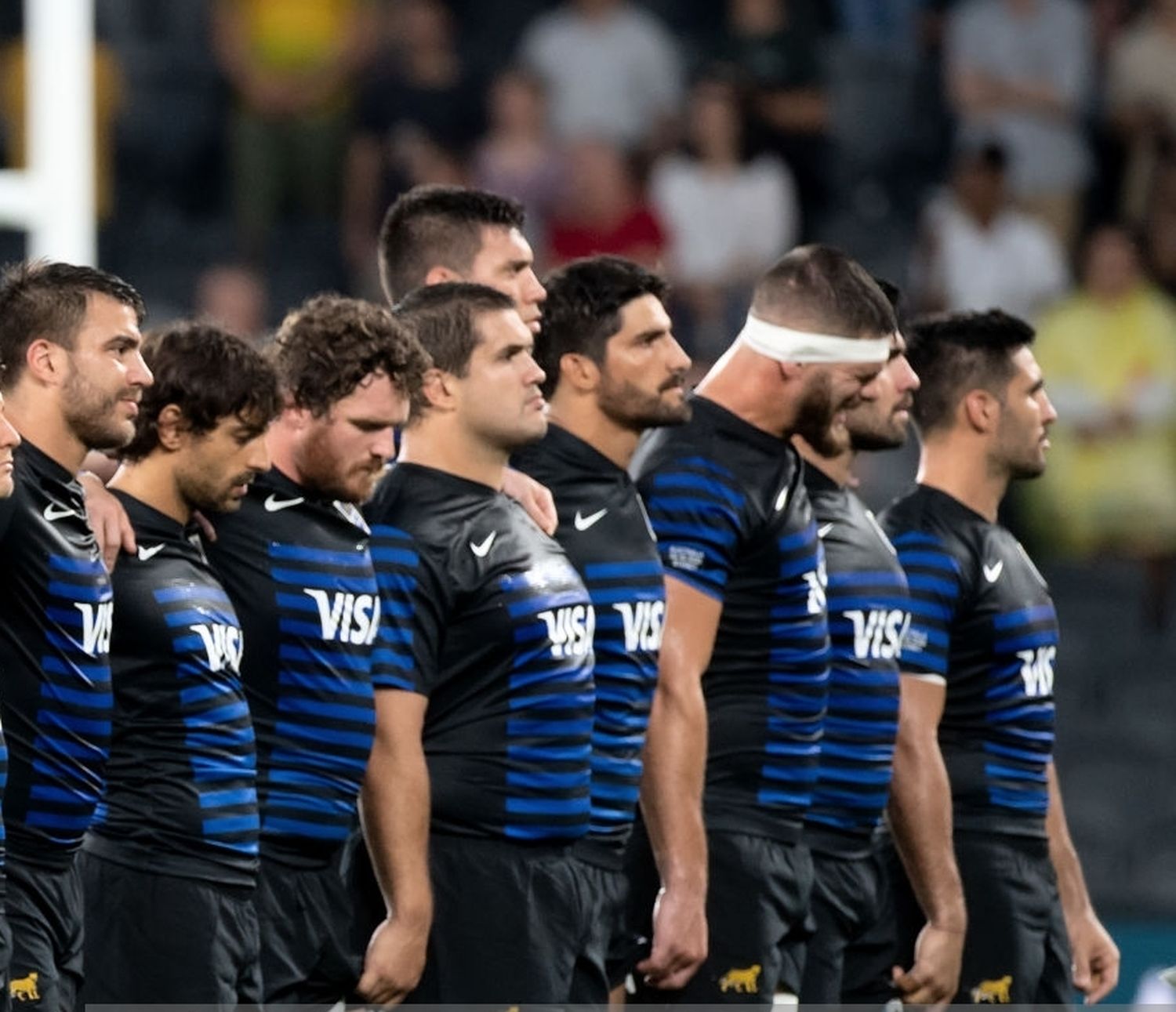 Los Pumas debutarán visitando a Sudáfrica