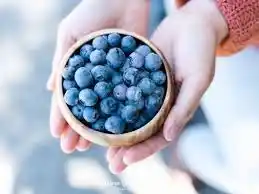 Pequeños frutos, grandes beneficios para tu salud.