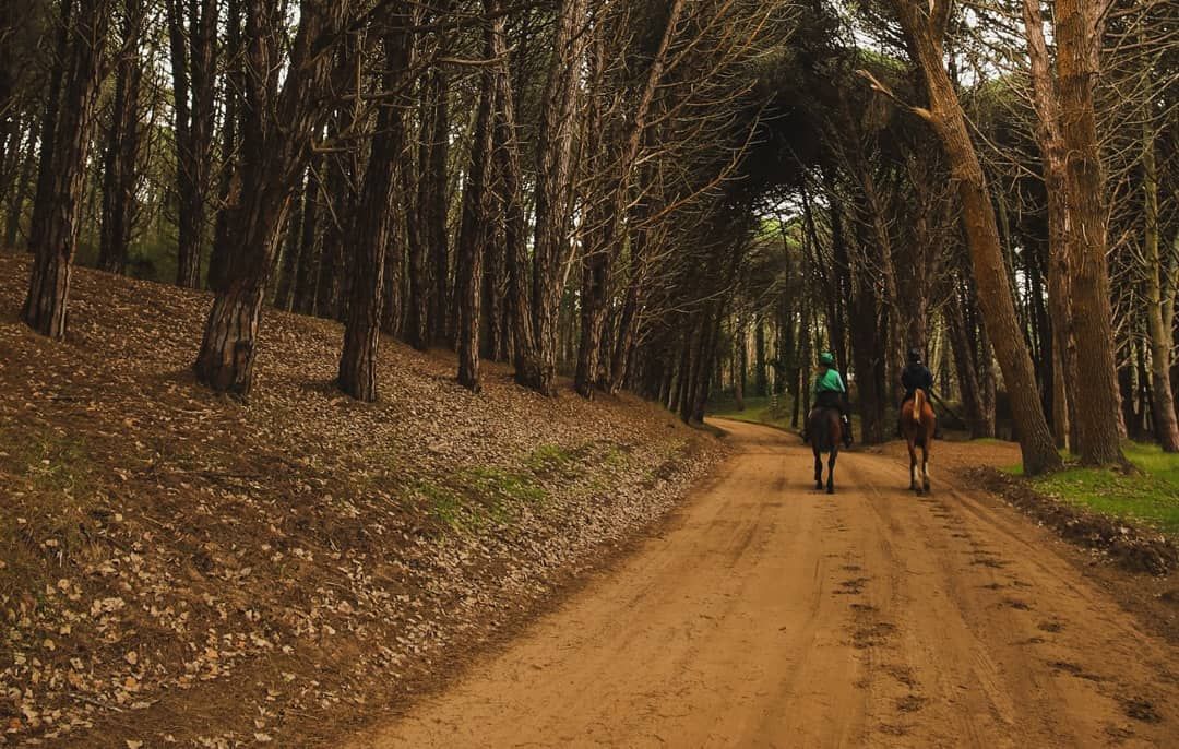 Cuarentena en Pinamar: Municipio quiere “prueba piloto” para el ingreso turístico del 12 de octubre