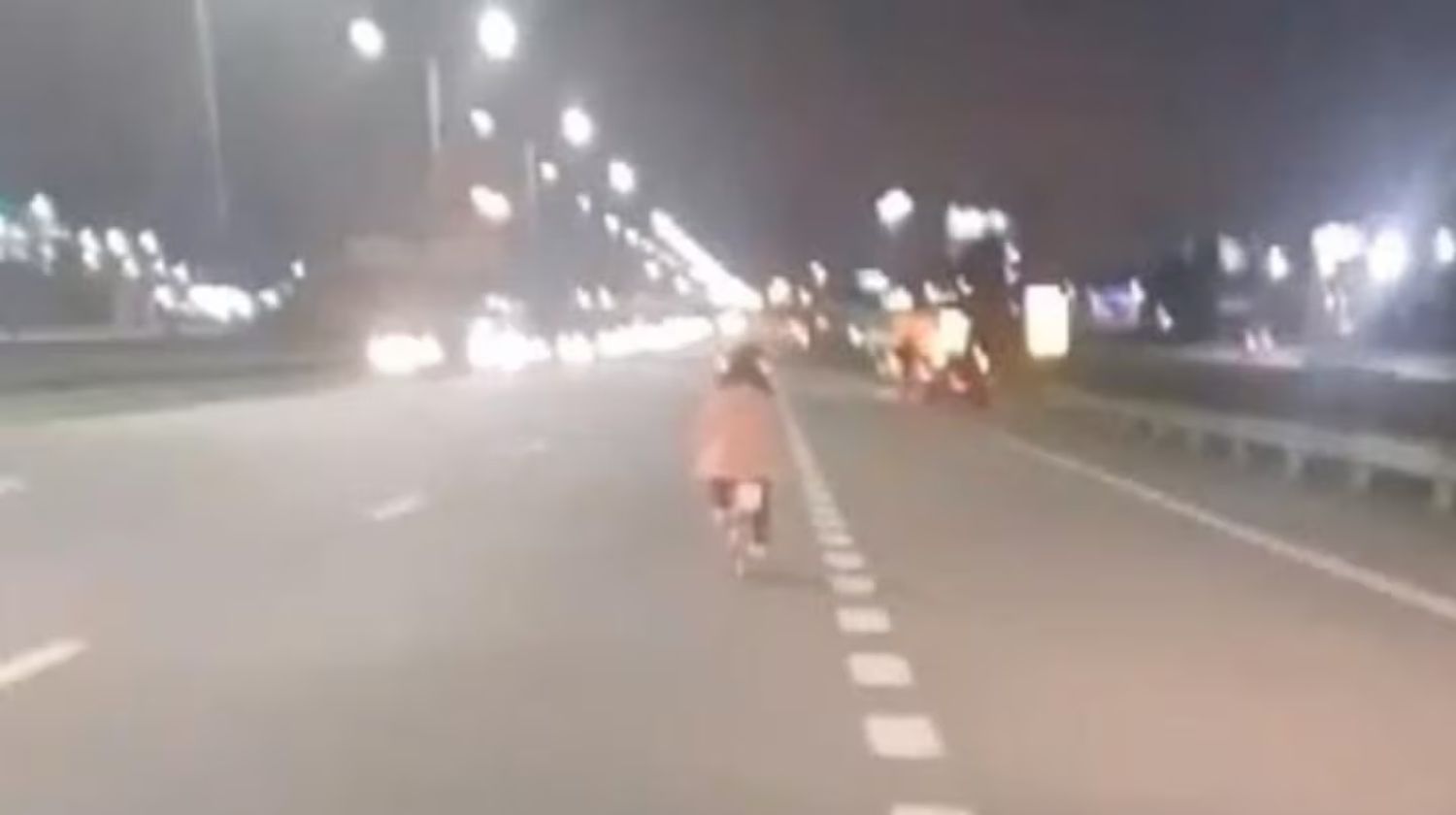 Una nena anduvo en bicicleta en la Panamericana y fue escoltada por automovilistas