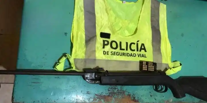 Secuestraron un arma y gran cantidad de pescados en operativos viales en la región