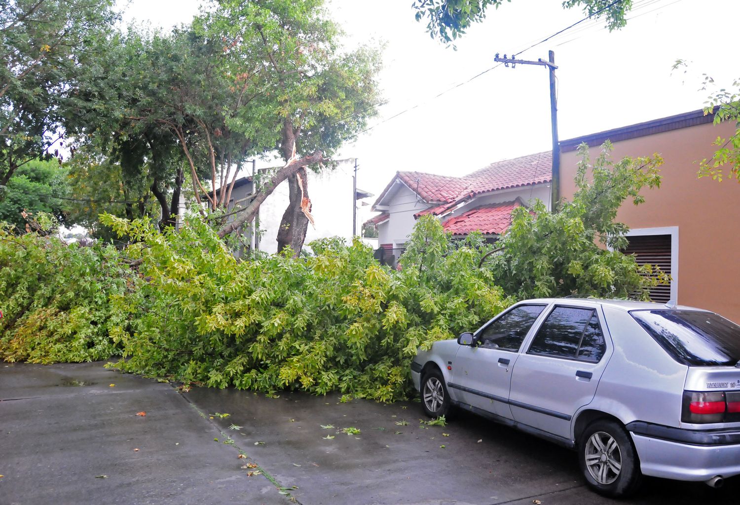 Temperaturas extremas y fuertes tormentas, el pronóstico para este miércoles en Tandil