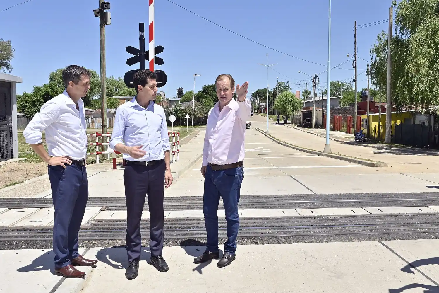 wado bordet cresto - 1