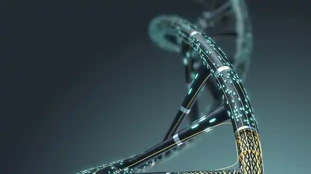 Identifican a gemelos semi-idénticos en el embarazo