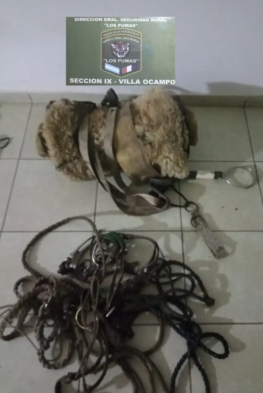 Villa Ocampo: Personal de la Guardia Rural “Los Pumas” esclareció un caso de Abigeato.- - 6