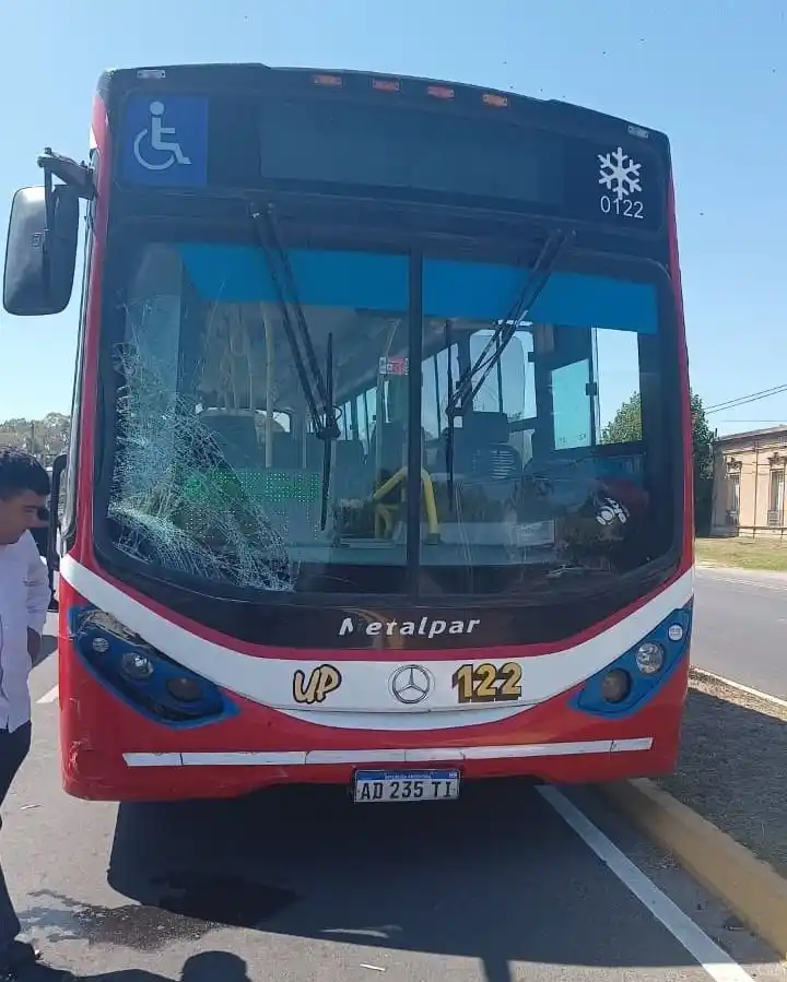 Tragedia en La Plata: Murió un ciclista atropellado por un colectivo 