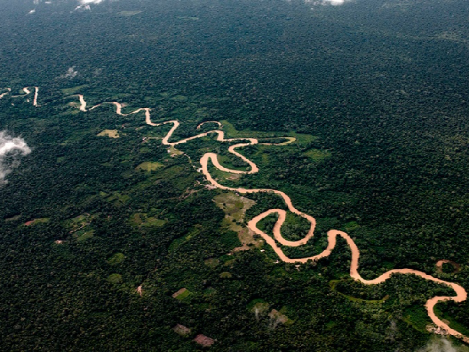 Brasil: multaron a una minera canadiense por provocar una inédita mortandad de peces en la selva amazónica