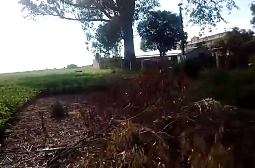 Denuncian a un productor de soja por fumigar cerca de una escuela