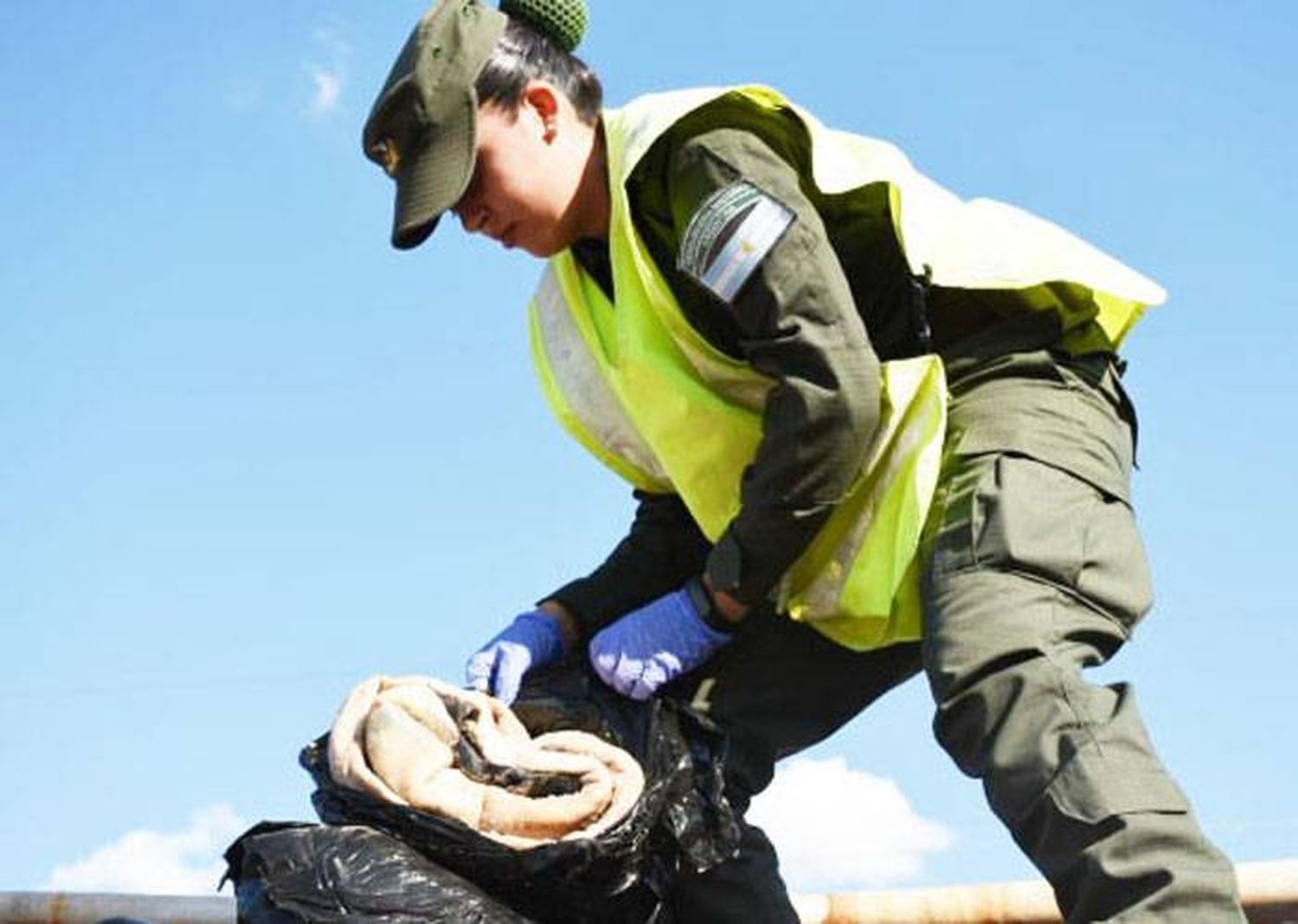 Gendarmería decomisó 250 toneladas de granos 