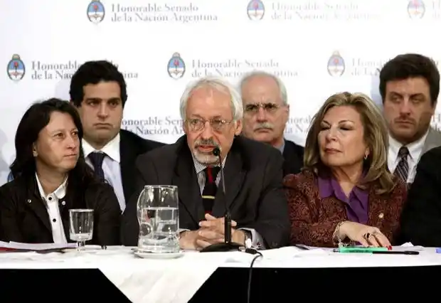 El CELS expuso en el  plenario del Senado