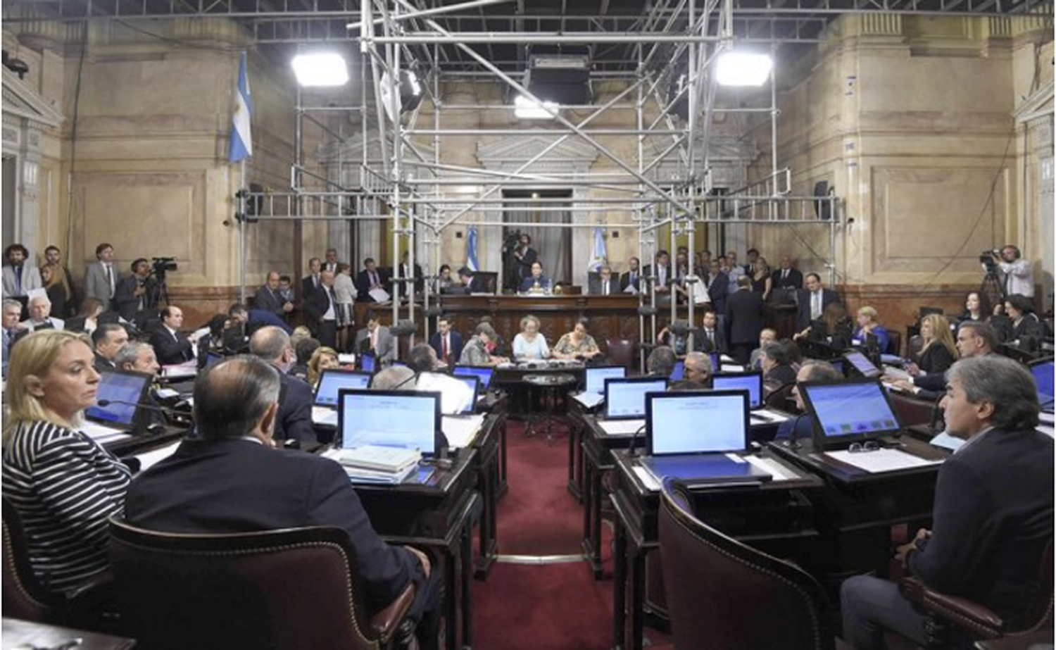 El Senado convirtió en ley la legalización del Cannabis medicinal