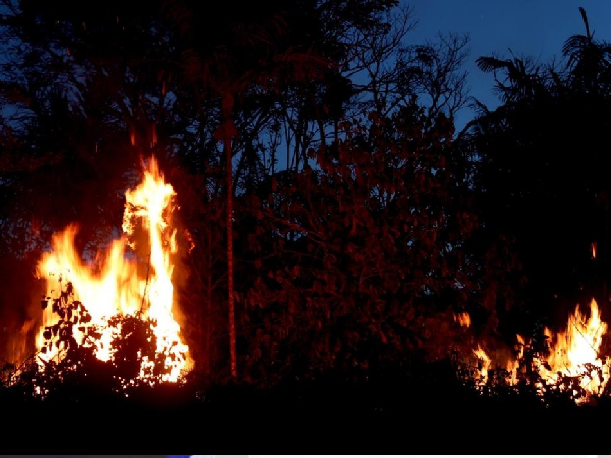 El daño medioambiental de China en la Amazonia