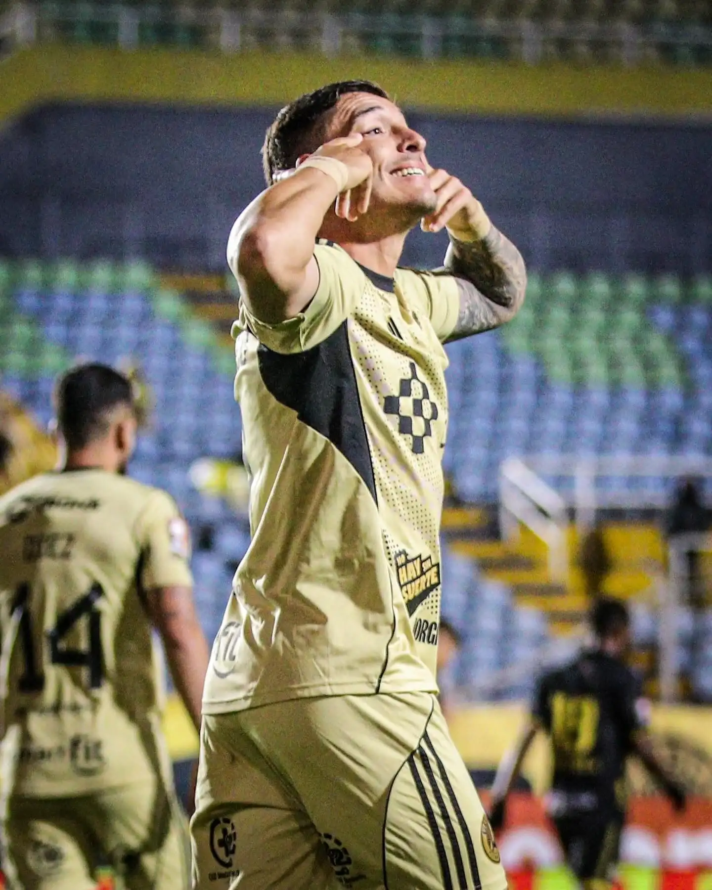 Callejo