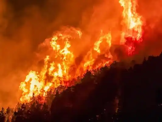 El clima vuelve a complicar el combate del fuego en Chubut y ya se quemaron 45 mil hectáreas