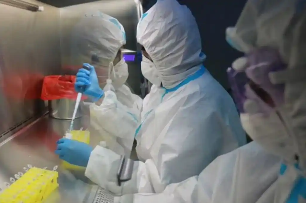 Son 113 los casos confirmados de coronavirus en Chubut