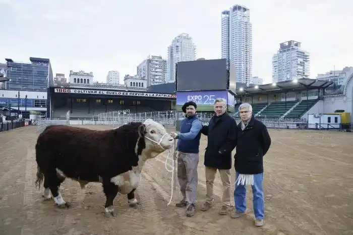 El toro "Escocés", el primero en llegar a La Rural pesa 1000 kilos