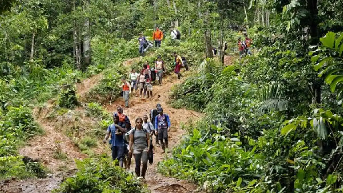 ¡SIGUE EN AUMENTO! Más de 68.000 migrantes han cruzado el Darién en 2024