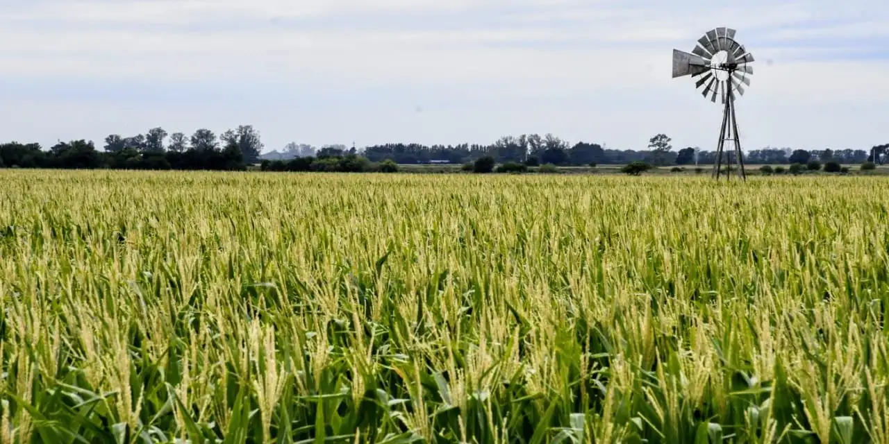 Argentina, entre los países del mundo que más presiona fiscalmente al campo