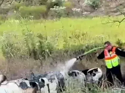 Cortesía