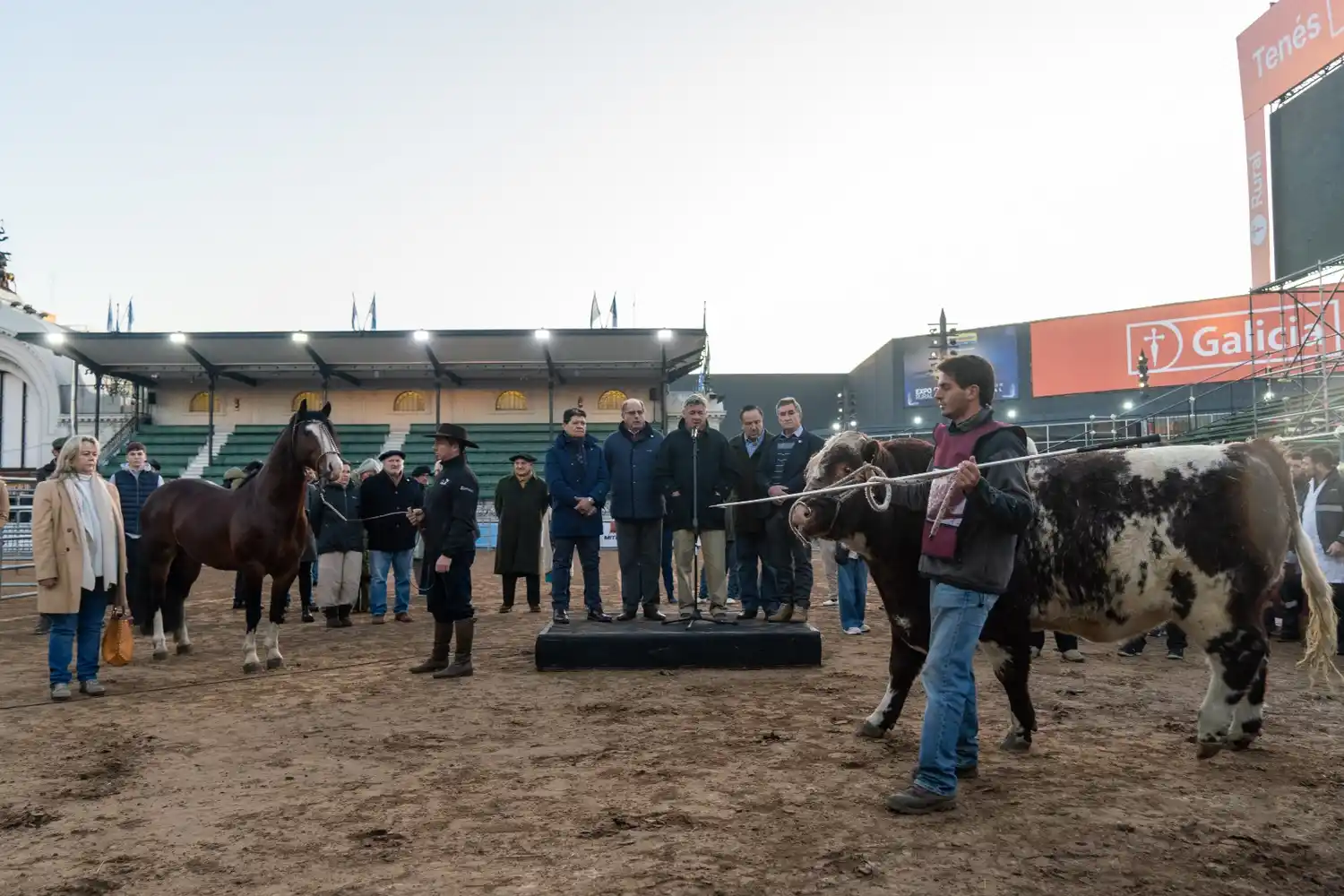 Mercosur y Pericón, los primeros animales en ingresar a Palermo