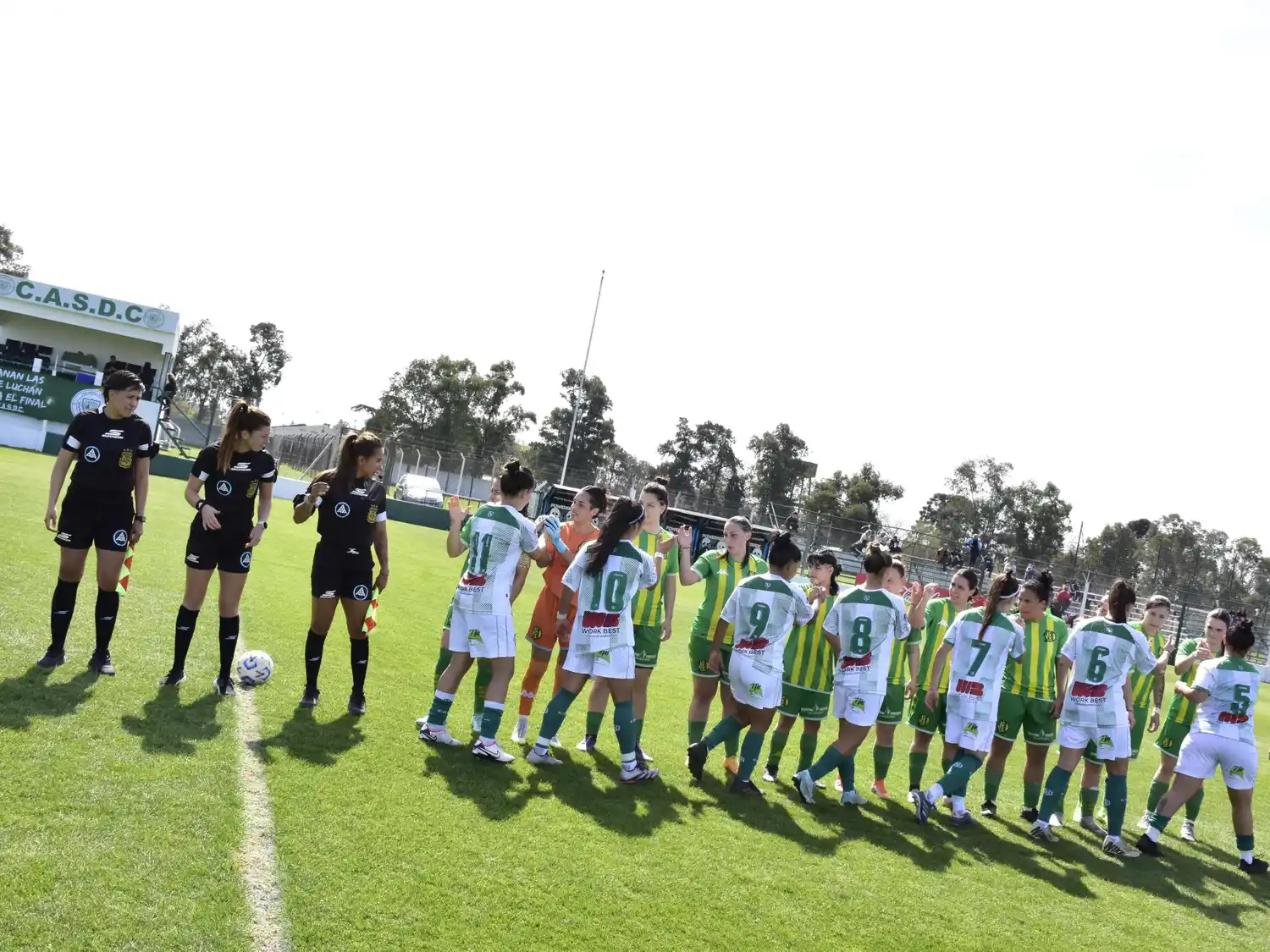 Aldosivi femenino
