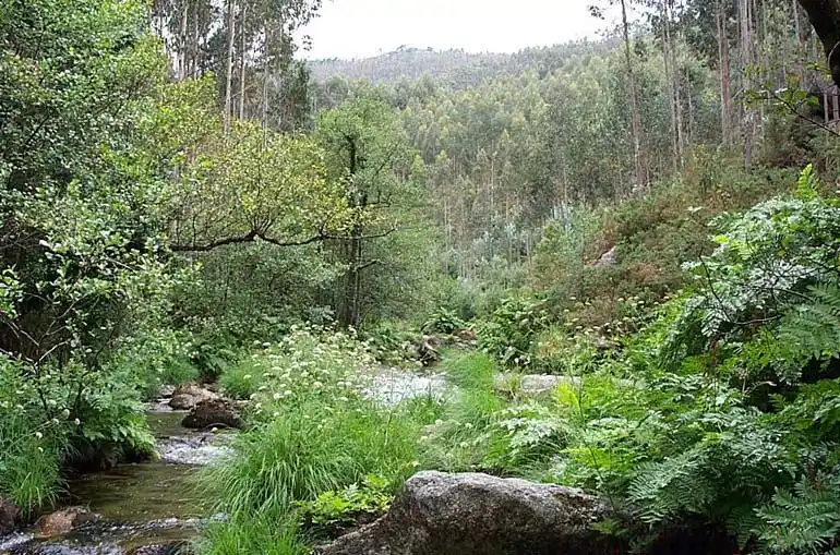 Caprichos de la naturaleza
