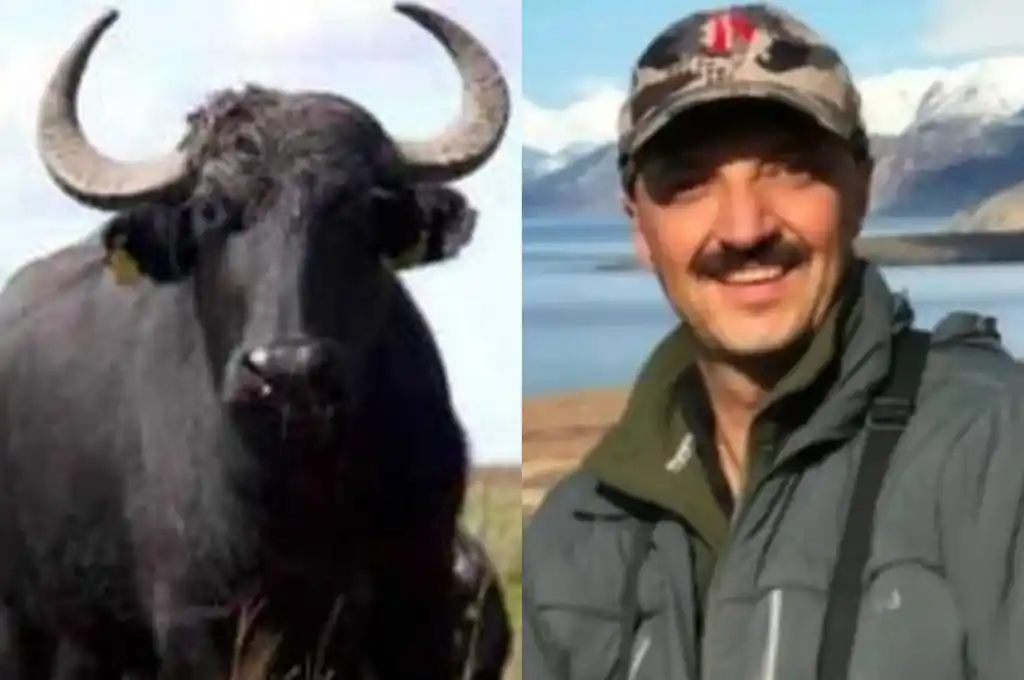 Quién era Mario Alberto Canales Najjar, el cazador asesinado por un búfalo en Entre Ríos