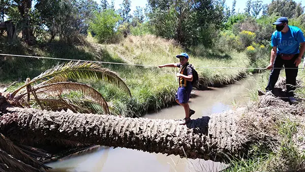 Los chicos disfrutan de los talleres de Vida en la naturaleza