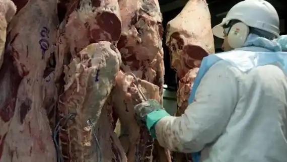 Desde el viernes siete cortes de carne se venderán con descuentos del 30%