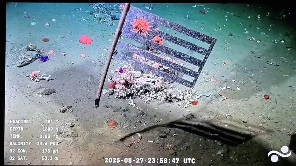 EXPEDICION SCHMIDT OCEAN EN URUGUAY (Foto: Gentilezas)