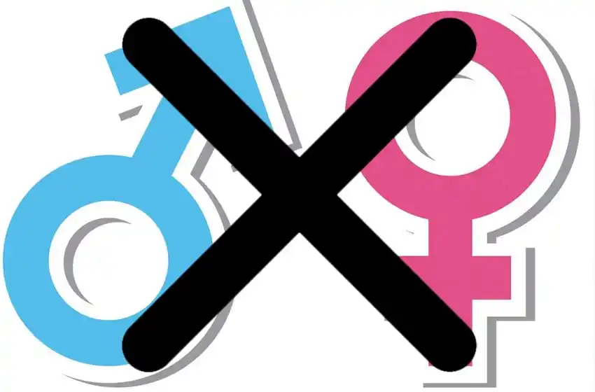 Ordenaron eliminar el casillero de sexo de una partida de nacimiento