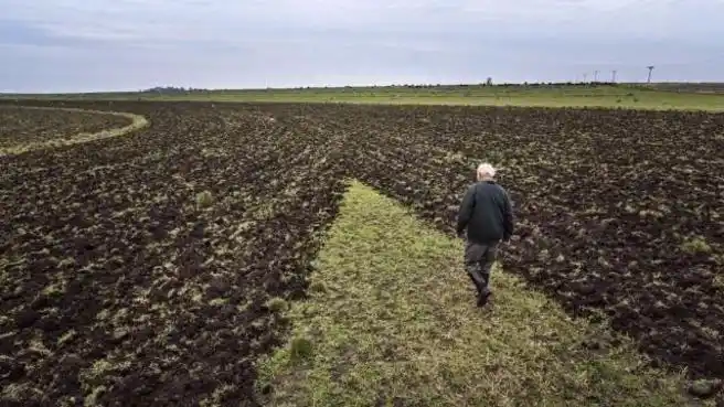 Un campo de Benito Juárez fue reconocido por la ONU por estar libre de agrotóxicos